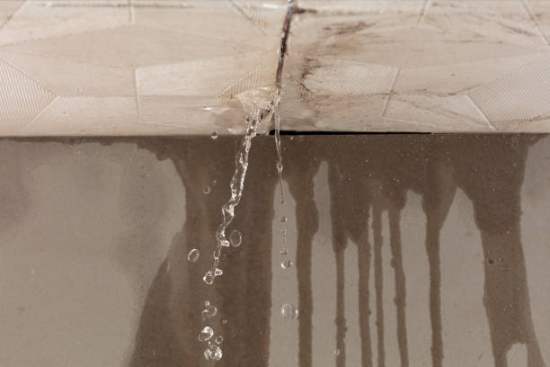 Professional Structural Drying technician working in Sealevel, NC